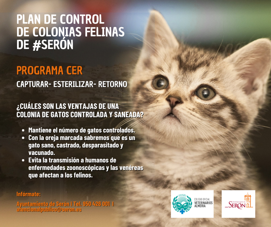 El Ayuntamiento de Serón pone en marcha una campaña para controlar las colonias felinas del municipio